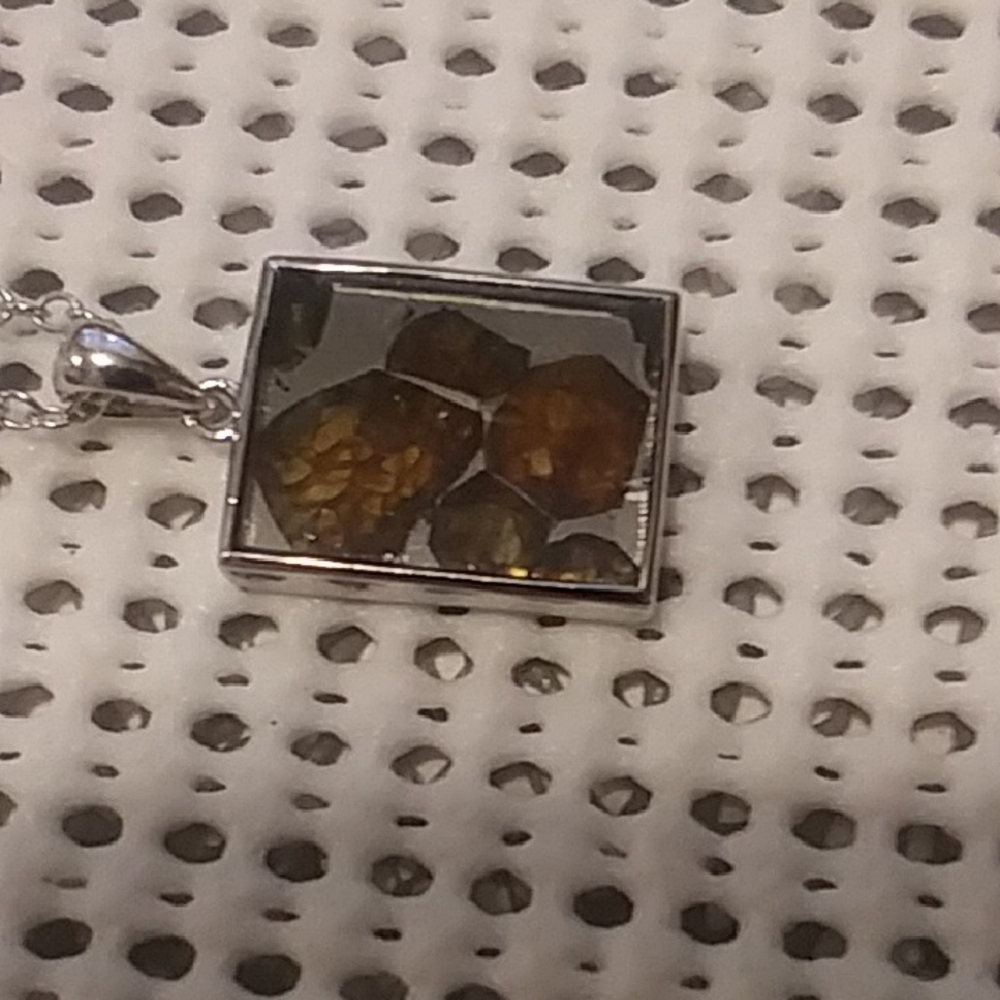 Pallasite Meteorite Necklace